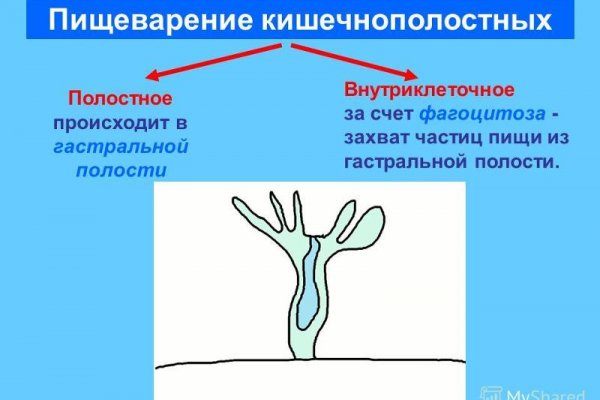 Сайт омг магазин закладок пермь