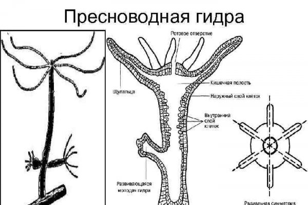 Омг войти